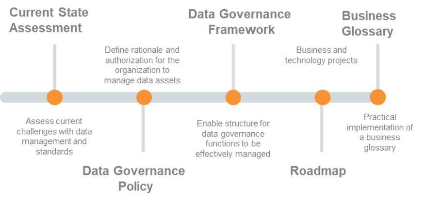 implementing data governance case study